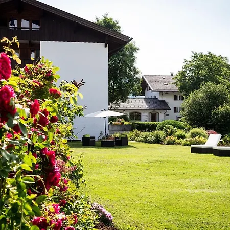 Trinkl Freihaus Daire